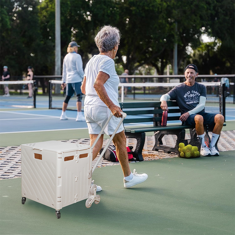 Lightweight Brushed Trolley Lu – Pull Cart Fold recenzja i cena