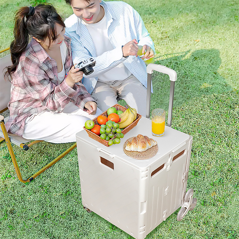 Lightweight Brushed Trolley Lu – Pull Cart Fold recenzja i cena